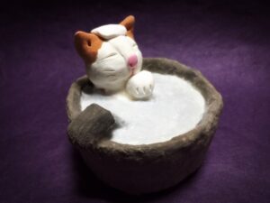 入浴中の猫